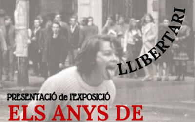 Els anys de l’entusiasme